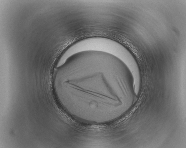 X0000116010305200912171017