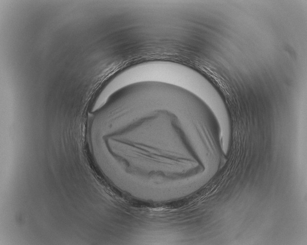 X0000116010309200912171017