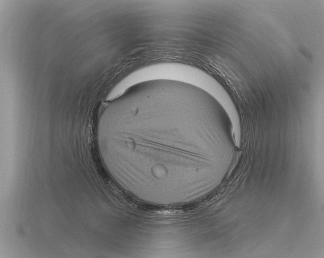 X0000116010323200912171017