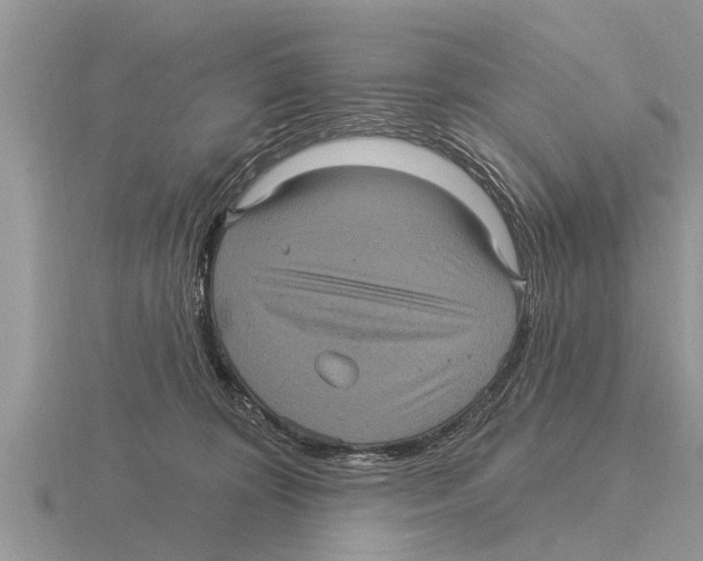 X0000116010324200912171017
