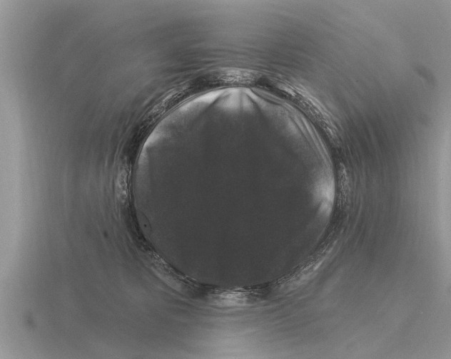 X0000116010325200912171016