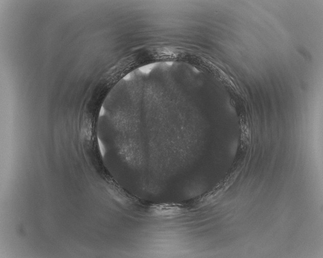 X0000116010331200912171016