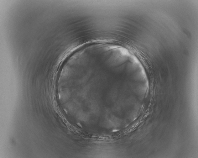 X0000116010337200912171016