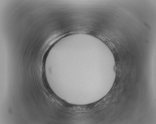 X0000116010338200912171016