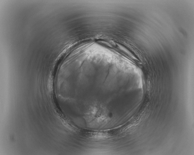 X0000116010347200912171016