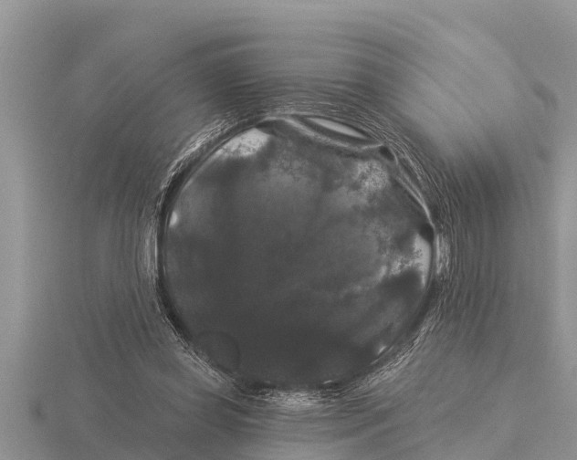 X0000116010349200912171016