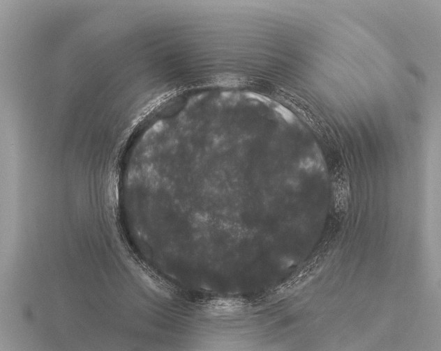 X0000116010350200912171016