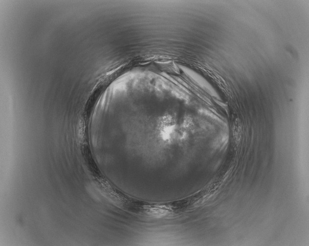X0000116010359200912171016