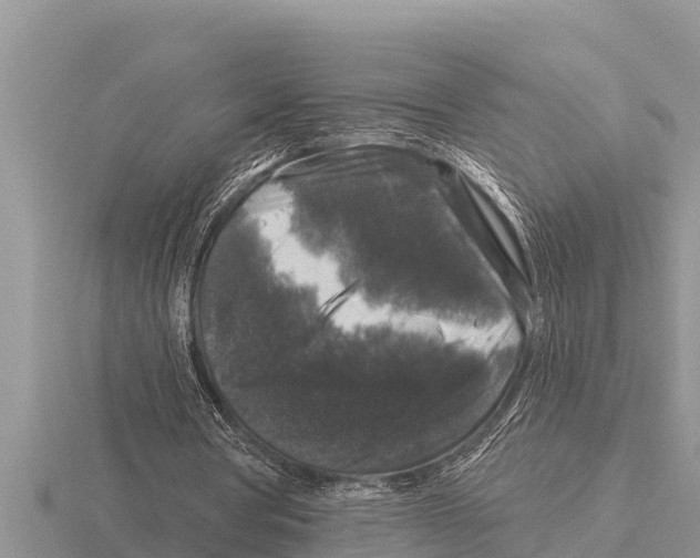 X0000116010386200912171016