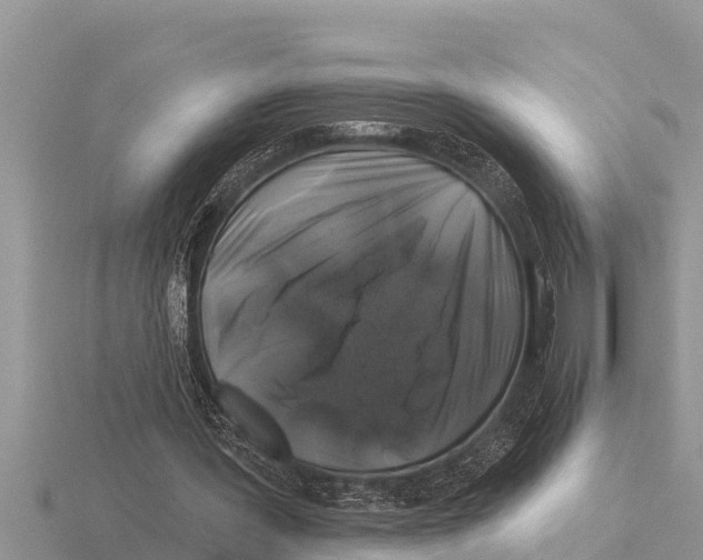 X0000116010387200912171016
