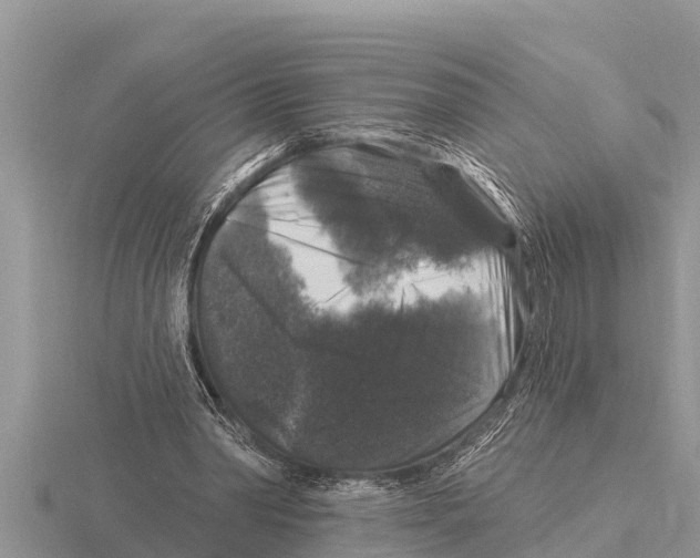 X0000116010390200912171016
