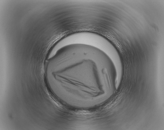 X0000116010397200912171016