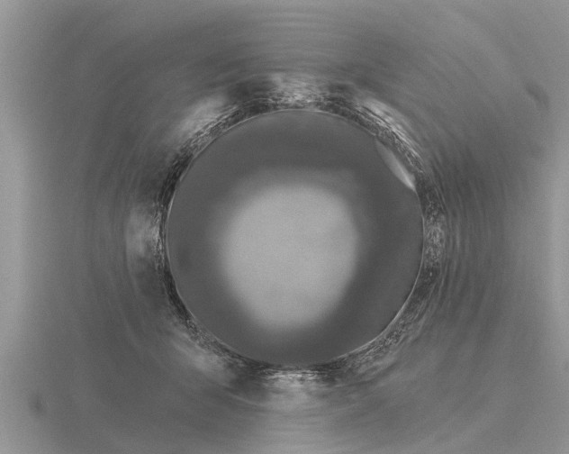 X0000116010415200912171015