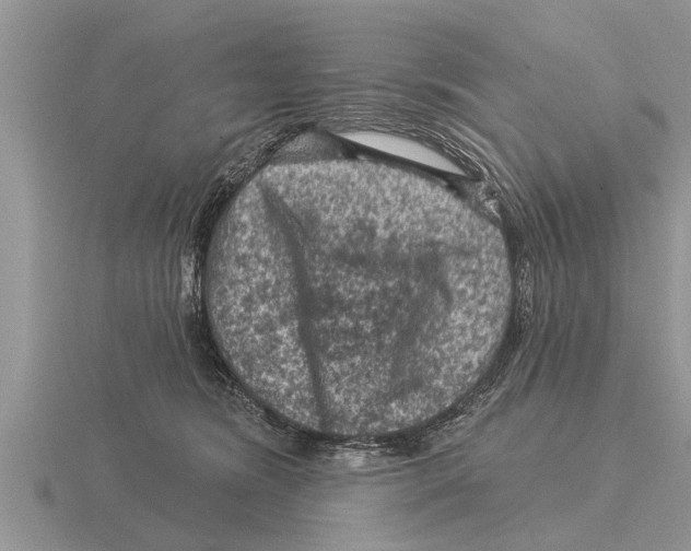 X0000116010420200912171015