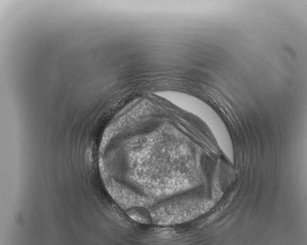 X0000116010424200912171015