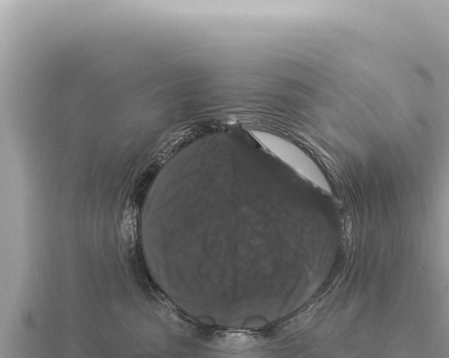 X0000116010475200912171015