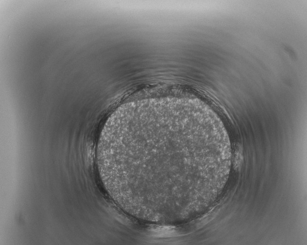 X0000116010476200912171015