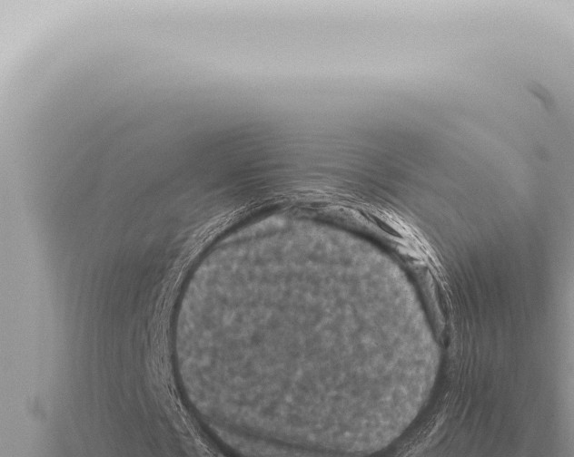 X0000116010481200912171014