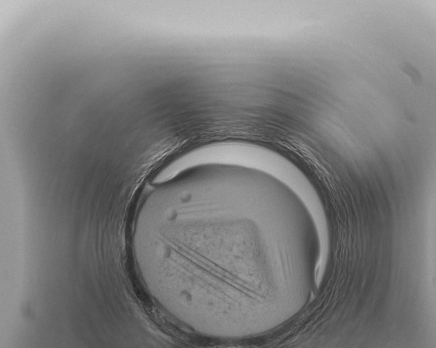 X0000116010500200912171014