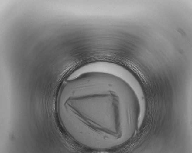 X0000116010501200912171014