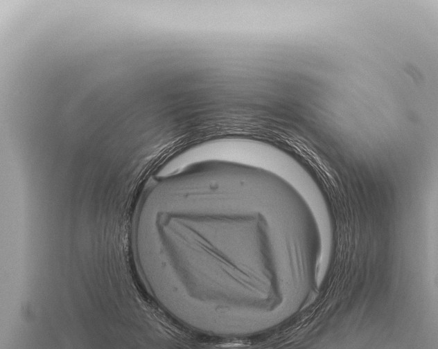 X0000116010505200912171014