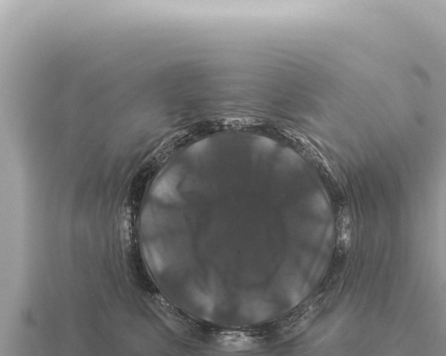 X0000116010519200912171014