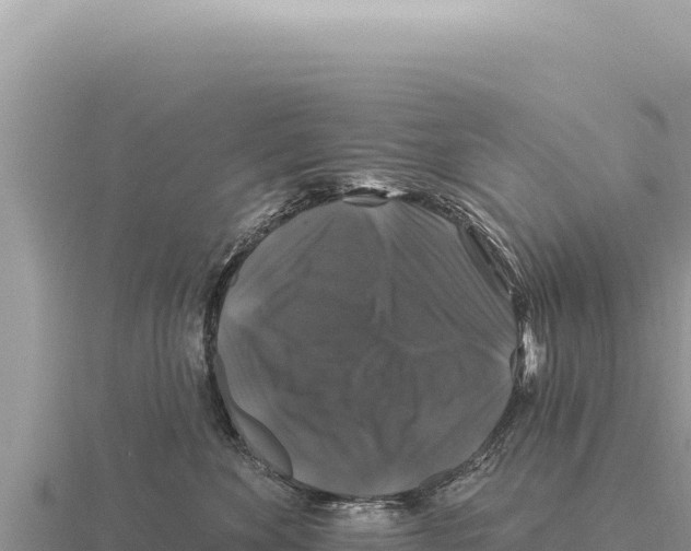 X0000116010524200912171014