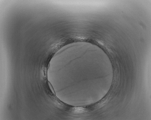 X0000116010528200912171014