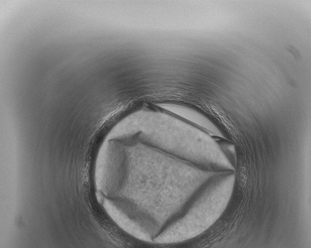 X0000116010543200912171013