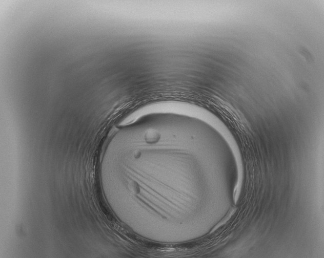 X0000116010558200912171013