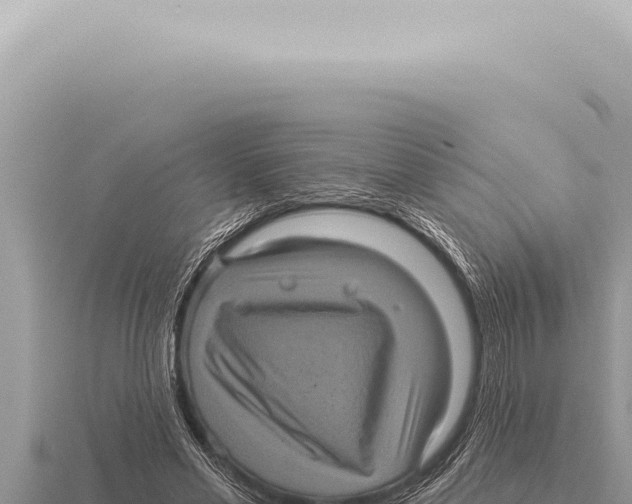 X0000116010589200912171013