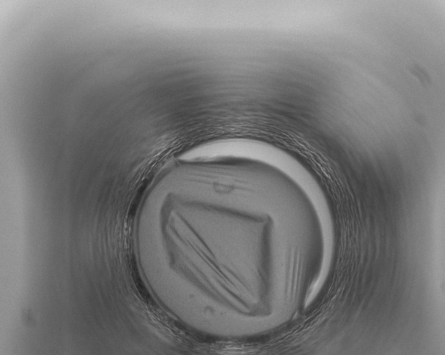 X0000116010601200912171012