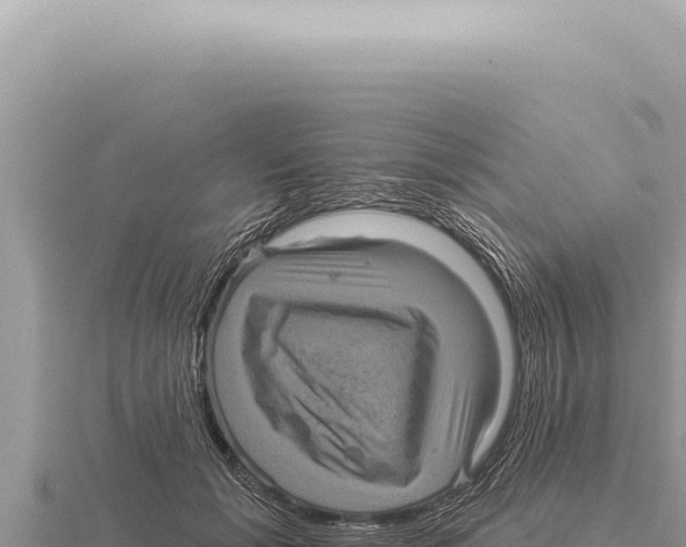 X0000116010605200912171012