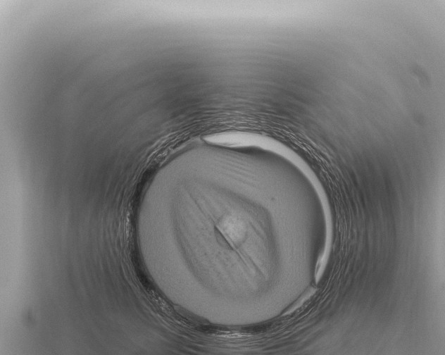 X0000116010611200912171012