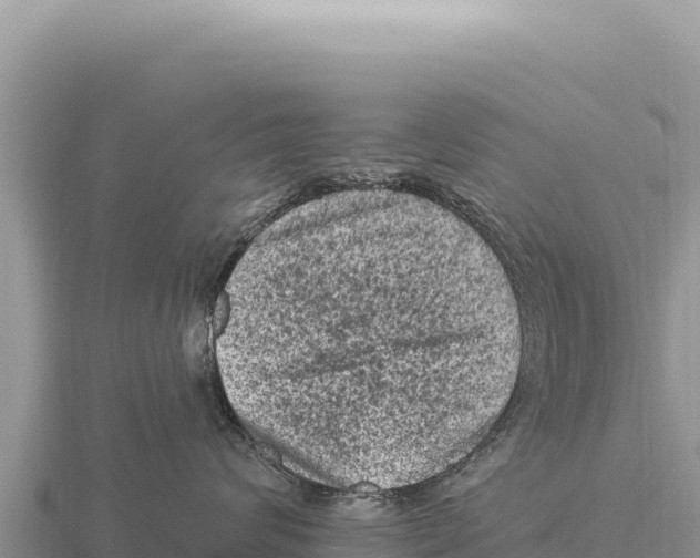 X0000116010624200912171012