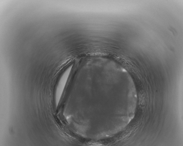 X0000116010648200912171012