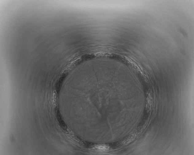 X0000116010659200912171012