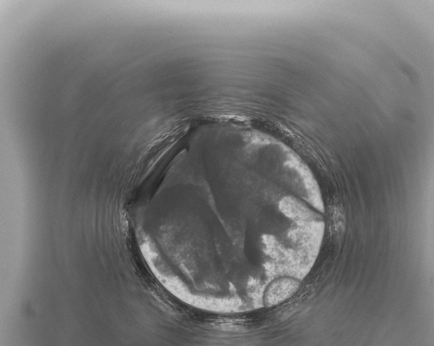 X0000116010664200912171012