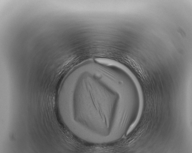 X0000116010697200912171011