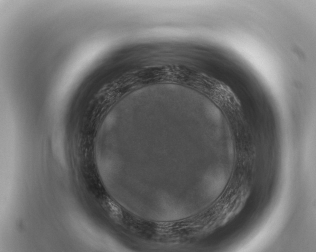 X0000116010766200912171011