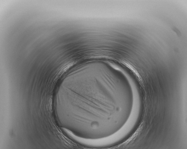 X0000116010777200912171010