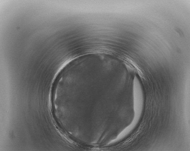X0000116010788200912171010