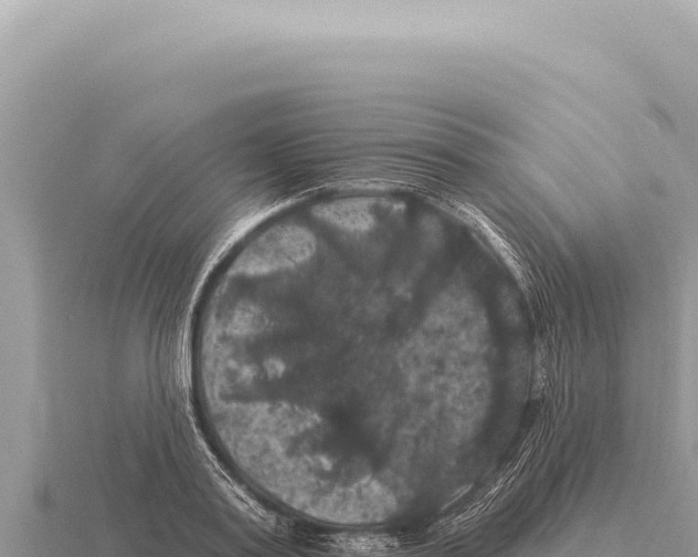 X0000116010795200912171010