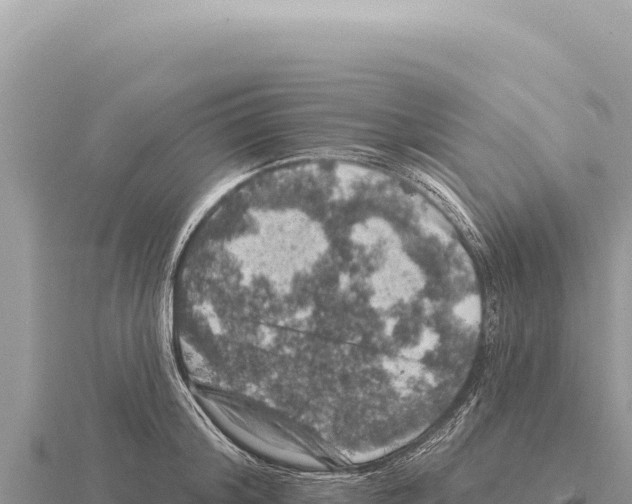 X0000116010804200912171010