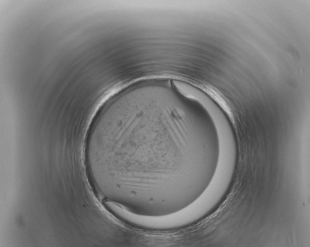 X0000116010805200912171010
