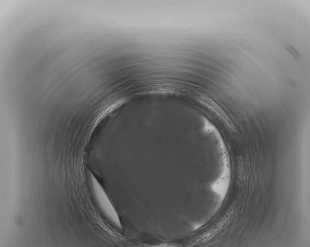 X0000116010826200912171009