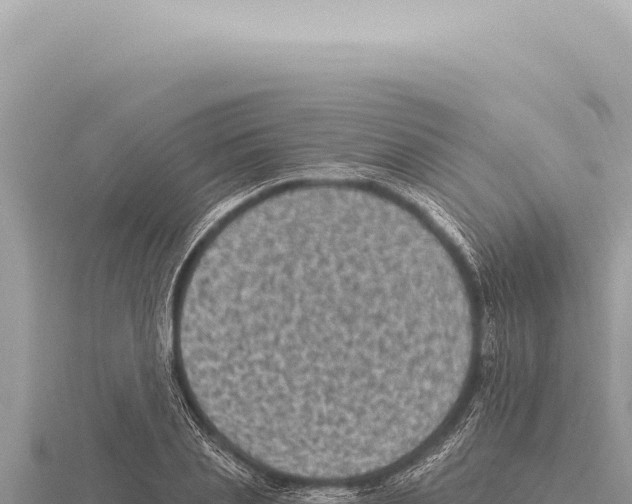 X0000116010837200912171009