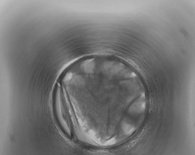 X0000116010838200912171009