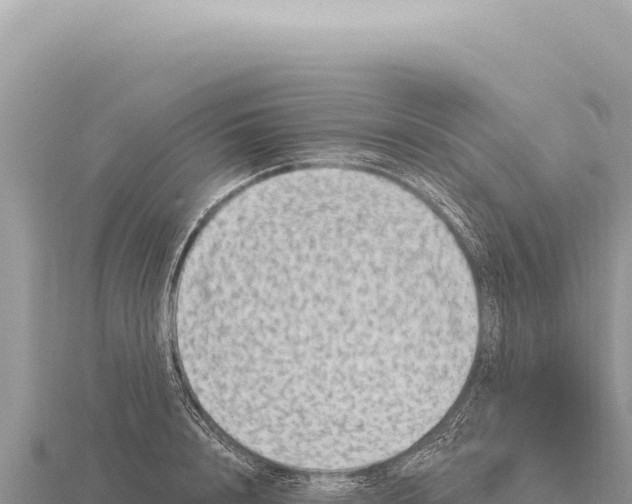 X0000116010848200912171009