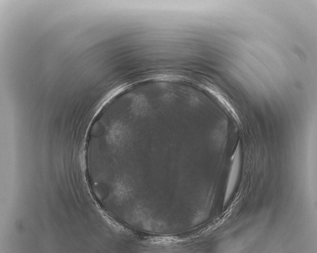 X0000116010853200912171009